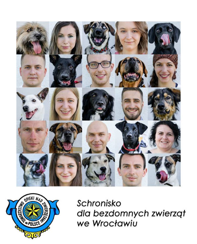 Druga połówka