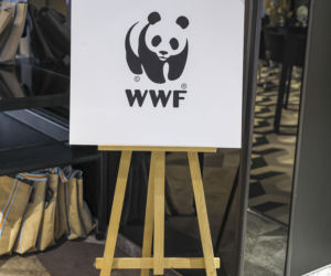 Konferencja WWF i Hotelu Novotel
