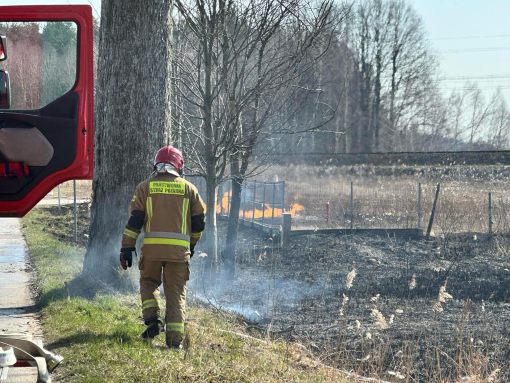 Pożar w Lubajnach pod Ostródą! Ogień zagraża schronisku dla zwierząt. Psy ewakuowane!