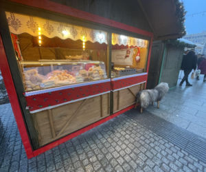 Pokémony, różowe gofry i zaskakujące różnice w cenach. Porównaliśmy łódzkie jarmarki