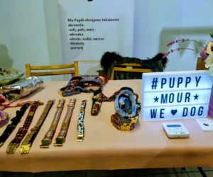 Miłośnicy czworonogów opanowali galerię BWA! Za nami pierwsze PupiLove Targi w Katowicach [ZDJĘCIA, AUDIO]