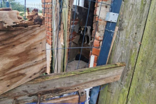 Trzymał zwierzęta w wychodku. W tym niewyobrażalnym smrodzie suczka ze szczeniakami miała zrobione legowisko