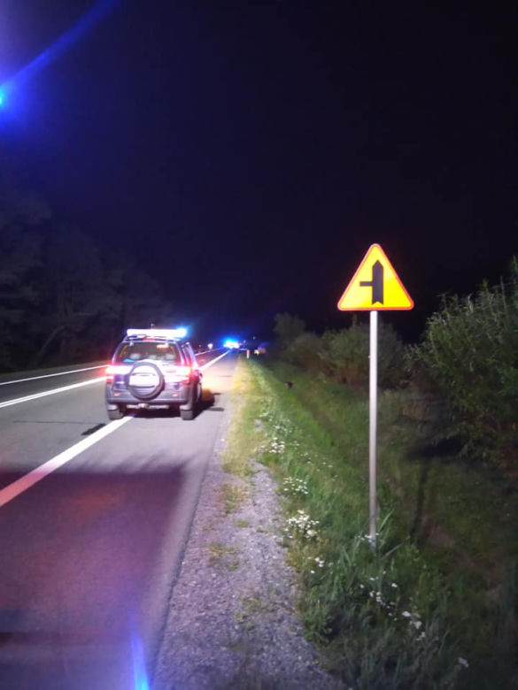 Motocyklista zderzył się z łosiem 