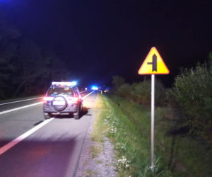 Motocyklista zderzył się z łosiem 