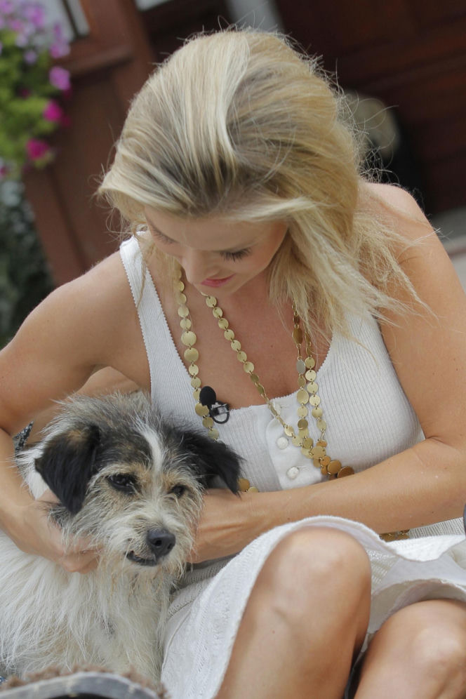 Goście Zespołu ds. Ochrony Zwierząt w Sejmie