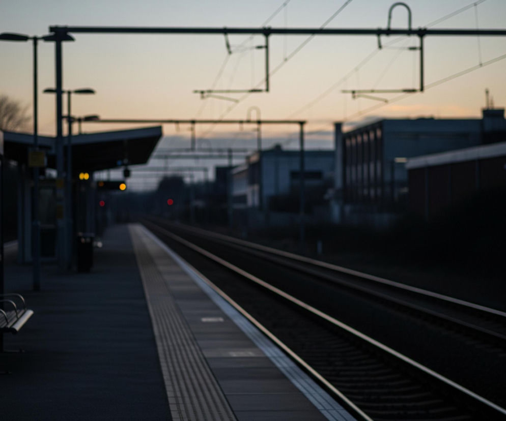 Dworcowy peron z ławką po lewej stronie dominuje pierwszy plan, z dwoma torami kolejowymi rozciągającymi się w głąb obrazu. Nad torami widoczna jest konstrukcja trakcji elektrycznej, składająca się z ciemnych, metalowych słupów i przewodów. Horyzont z rozmytymi budynkami i drzewami, oświetlony pomarańczowo-niebieskim światłem zachodzącego lub wschodzącego słońca, stanowi tło.