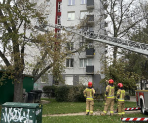 Drzewa padają jedno po drugim. Wichura niszczy Warszawę, zamknięto zoo i parki