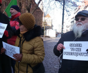 Trwa zbieranie podpisów pod petycją wyłączenia obwodów łowieckich z toruńskich lasów