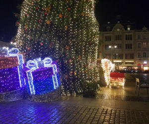 Bydgoszcz w świątecznej odsłonie zachwyca! Tu jest MAGICZNIE! [ZDJĘCIA]