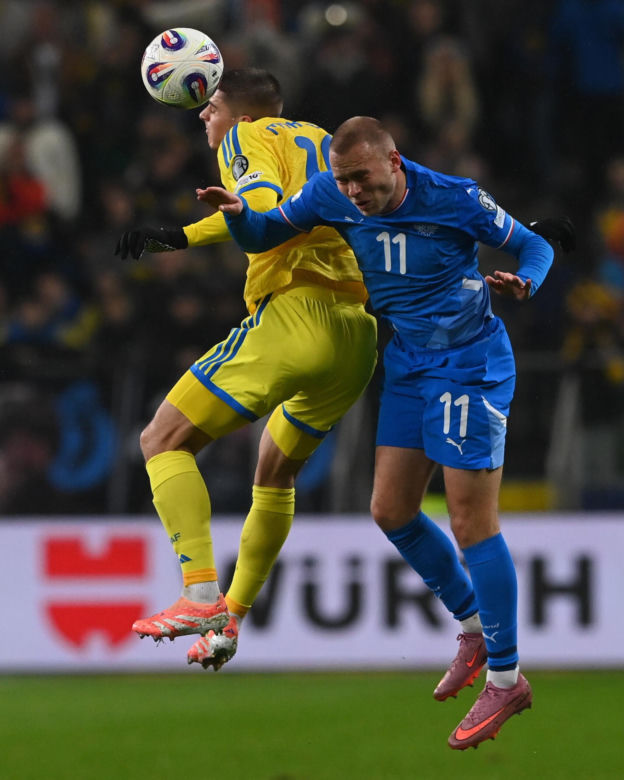 Transparenty na meczu Ukraina - Islandia
