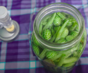 Ta roślina wygląda, jak mini arbuz. Ma szerokie zastosowanie w kuchni, a jej smak z pewnością was zaskoczy