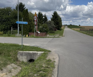 Legwan uciekinier