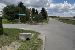 Legwan uciekinier
