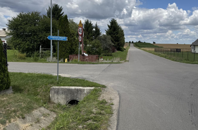 Legwan uciekinier