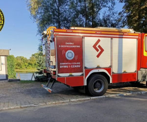 Zwłoki w Wiśle przy ujściu Narwi