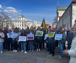 Portal Lublin - Brazylia