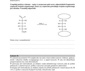 MCH-R1_1P-182_Page_22