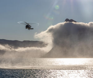 Duńskie siły morskie