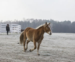 Rolnicy. Podlasie. Gienek i Andrzej organizują ognisko. Emilka testuje nową inwestycję [ZDJĘCIA]