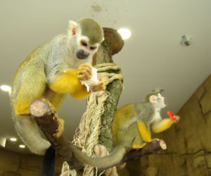 Zoo w Chorzowie ma nowe pawilony