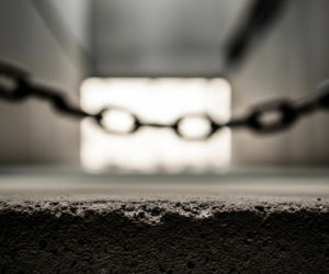 Pies konał w Dąbrowie Górniczej. Kim byli właściciele i co ich czeka?