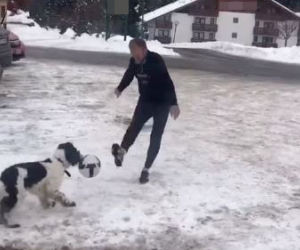 DONALD TUSK, PIES PIŁKA