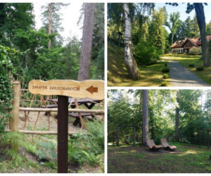 Leśne Arboretum w Kudypach. Jedno z piękniejszych miejsc na Warmii [ZDJĘCIA]