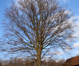 Szklana Huta na zdjęciach