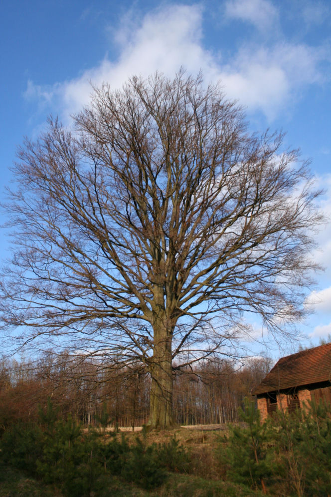 Szklana Huta na zdjęciach