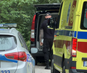 Mężczyzna przygnieciony drzewem przy Moście Poniatowskiego w Warszawie