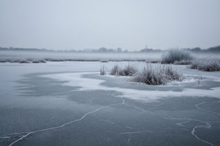Zaginął pod Radomiem. Co wydarzyło się na zamarzniętych bagnach?
