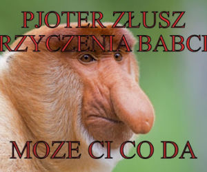Memy na Dzień Babci 2025 [GALERIA]
