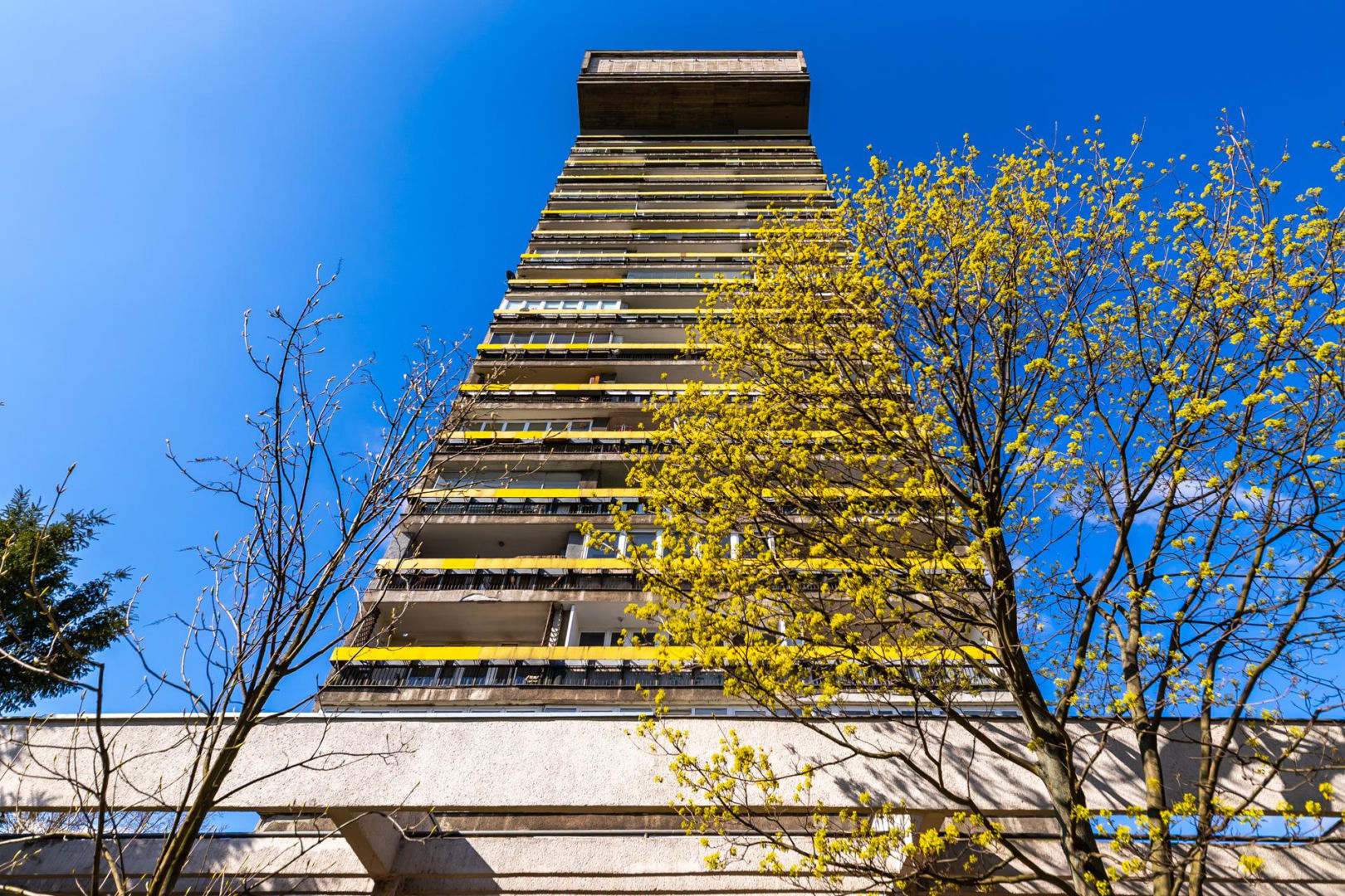 Blok Młotek na Smolnej 8 w Warszawie