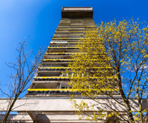 Blok Młotek na Smolnej 8 w Warszawie