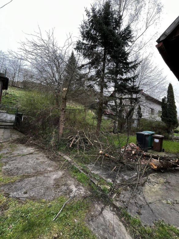 Wichury w Beskidach. Interwencje strażaków. Powalone drzewa, zniszczone linie i auta 