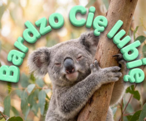 Kartki na Walentynki 2026 do ściągnięcia. Najlepsze życzenia walentynkowe