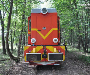 Mężczyzna potrącony przez kolejkę wąskotorową [ZDJĘCIA]