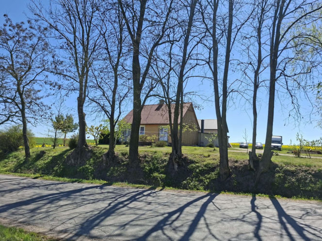 Jeżów. Ta świętokrzyska wieś powstała w XII wieku. Niewielu wie, że była częścią niezwykłej wymiany między zakonnikami. Jak wygląda dziś?