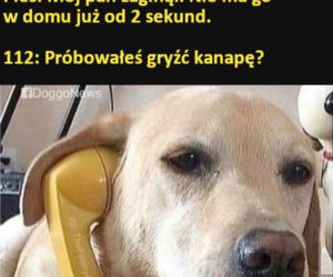Święto Policji wypada 24 lipca. Mundurowi odbiorą życzenia, a internet już szykuje swoje memy