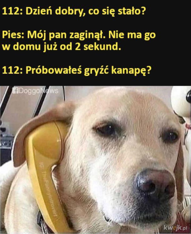 Święto Policji wypada 24 lipca. Mundurowi odbiorą życzenia, a internet już szykuje swoje memy