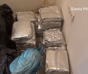 CBŚP rozbiło dwa gangi! Policja przejęła ogromne ilości narkotyków [ZDJĘCIA]