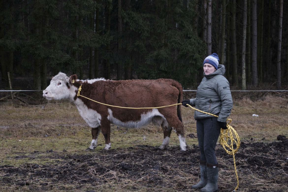 Rolnicy. Podlasie. Emilia Korolczuk i jej Ranczo Laszki