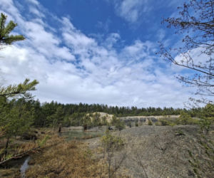 Gagaty Sołtykowskie. Największe ślady dinozaurów w Polsce