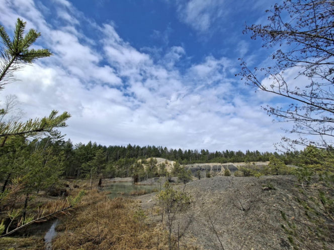 Gagaty Sołtykowskie. Największe ślady dinozaurów w Polsce