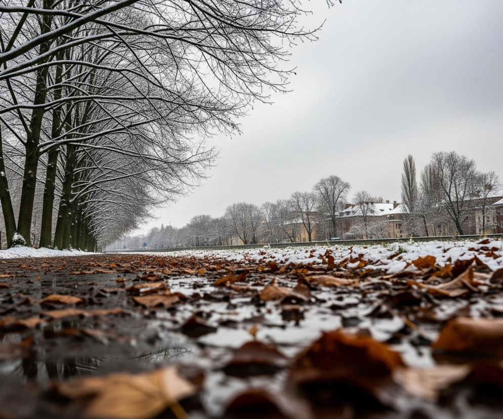 Na pierwszym planie, u dołu obrazu, rozciąga się ścieżka pokryta warstwą mokrych, brązowych liści. W wielu miejscach kałuże odbijają zasłane śniegiem bezlistne drzewa, które ciągną się wzdłuż lewej krawędzi obrazu, ich gałęzie są białe od świeżego opadu. Dalej, na prawym brzegu, widać pas zaśnieżonej trawy, za którym wznoszą się budynki z czerwonymi dachami, również przykrytymi śniegiem, otoczone kolejnymi nagimi drzewami. Pochmurne, jasnoszare niebo dominuje górną część kadru, tworząc spójny zimowy krajobraz.
