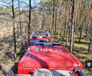 Gigantyczny pożar lasu pod Wołominem