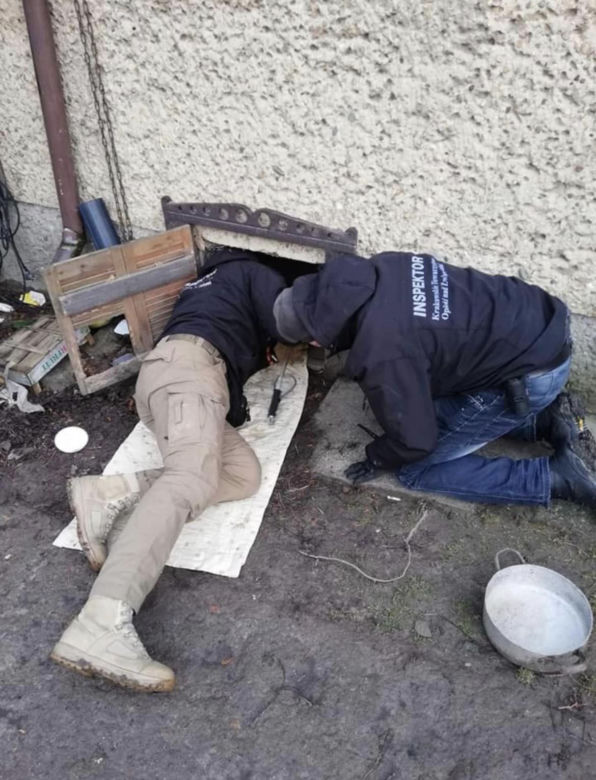 Strażak bestialsko znęcał się nad psem. „Nie był w stanie ustać na nogach” [ZDJĘCIA]