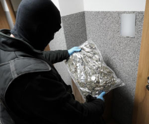 Ponad 75 kg narkotyków w Bydgoszczy! Policja zlikwidowała magazyn wart miliony