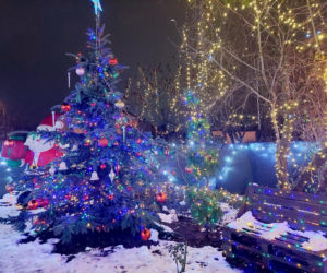 Dom bydgoskich Griswoldów znów rozbłysł. Powieśiliśmy 300 tysięcy lampek. Przygotowywaliśmy jej od lipca!
