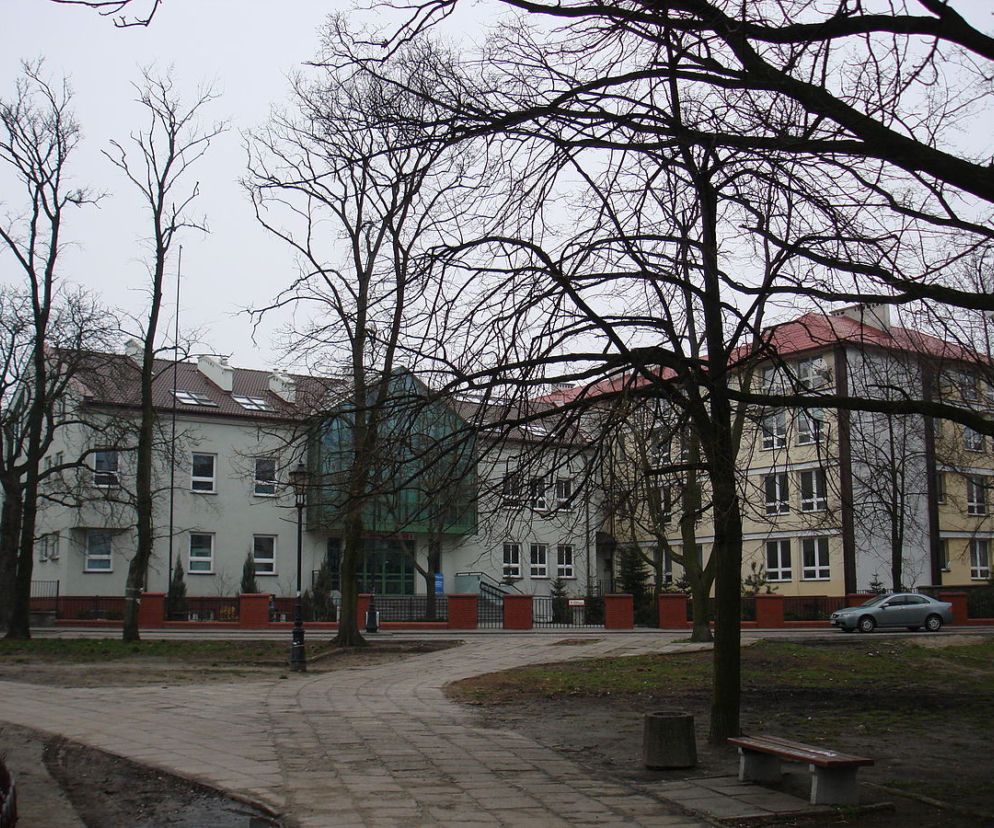 Jakie są Perspektywy przed liceami w Płocku? Małachowianka w pierwszej 100 w Polsce